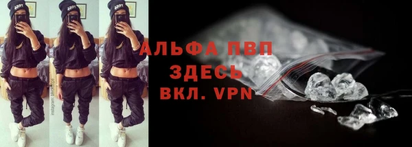 шишки Богданович