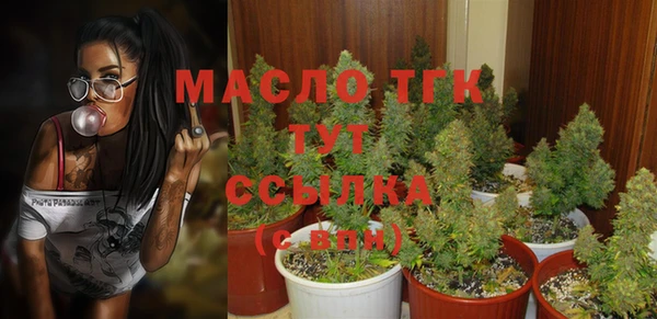 шишки Богданович