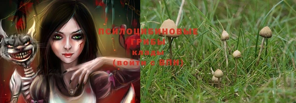 шишки Богданович