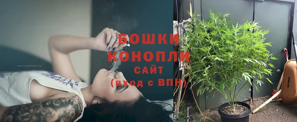 ГАЛЛЮЦИНОГЕННЫЕ ГРИБЫ Богородск