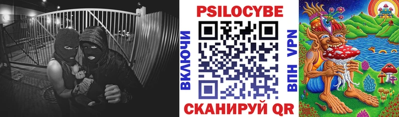Псилоцибиновые грибы мицелий  ОМГ ОМГ зеркало  Сургут  где можно купить  